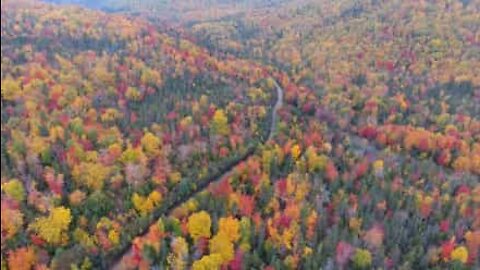 Kanadan syksyn väriloisto dronella kuvattuna
