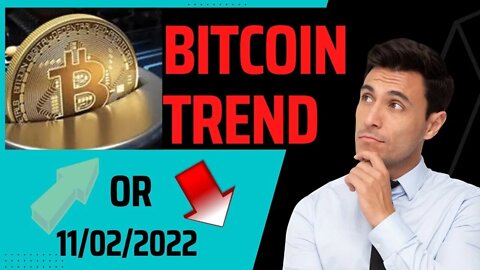 Trend based on the turnover of bitcoin whales 1K largest cryptocurrency wallets 11/02/2022 btc live