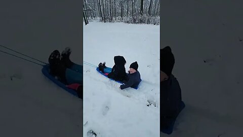 Amish Kids Horse Sledding