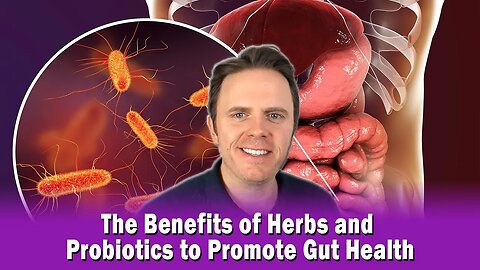 The Benefits of Herbs and Probiotics to Promote Gut Health