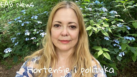 Hortensje i polityka