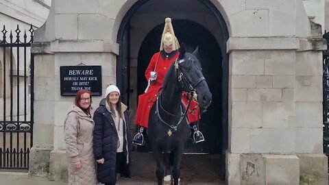 Romany gypsy horse's #horseguardsparade