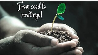 What did we start? #seeds #seedlings #garden