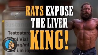 Dirty Rats EXPOSE the LIVER KING!!