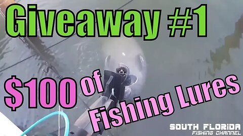 Giveaway #1 | Happy July 4th! - $100 of fishing lures (closed)