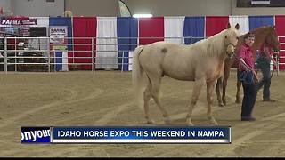 Idaho Horse Expo this weekend