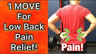 Low Back Pain Relief! | ONE MOVE! | Dr Wil & Dr K