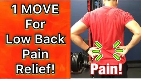 Low Back Pain Relief! | ONE MOVE! | Dr Wil & Dr K