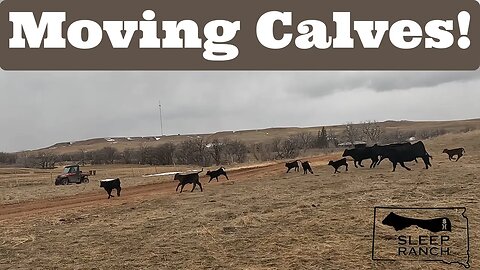 4-Wheeler Cowboys!