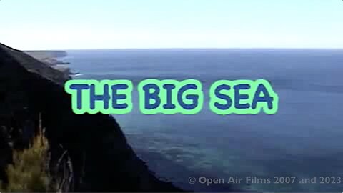 THE BIG SEA