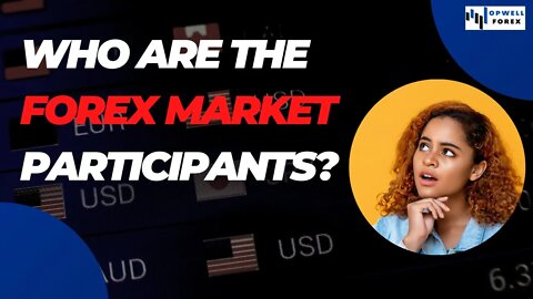 Who Are the Forex Market Participants? | Market Structure #6