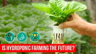 Hydroponic Farming EXPOSED: Is This the Future of Agriculture?