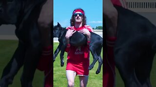 Dog Squats For Thiccc Legs #shorts #funnydogs #dog #viral