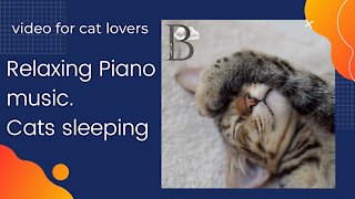 Cat music : Soothing Piano Music for Cats, Music to Calm Cats in Anxiety Inducing Situations 🐱
