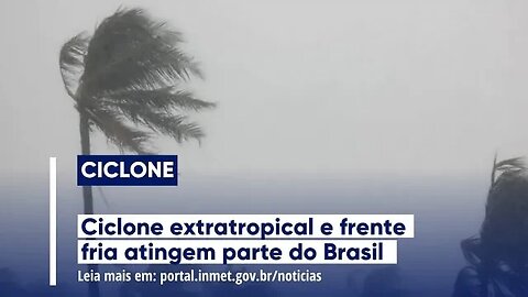 Ciclone safadão e as girafas da Amazônia