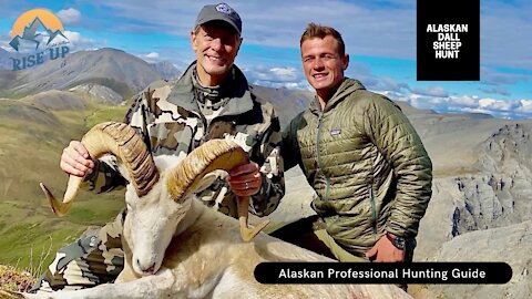 Alaskan Dall Sheep hunt