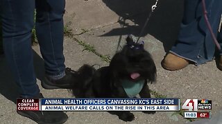 Animal health officers canvas KC neighborhood to help pets
