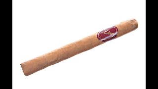 Zino Classic No1 Cigar Review