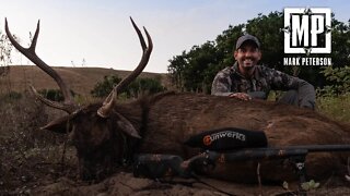 Marble Island Sambar Stag | Mark V. Peterson Hunting