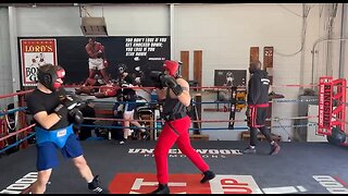 Boxing sparring