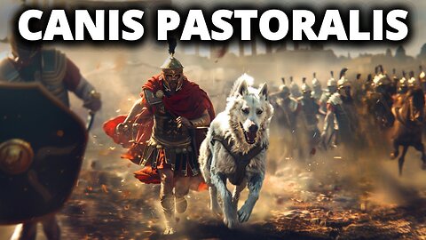 CANIS PASTORALIS - The Legendary Watchdog of Rome