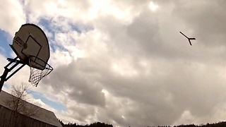 Guy Throws Returning Boomerang Straight Into A Basketball Hoop