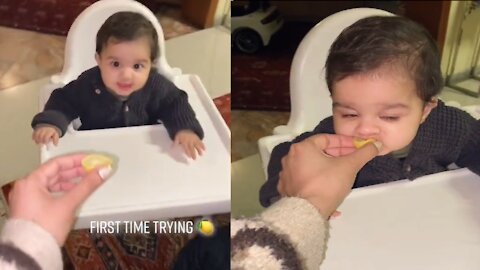 Toddler Try Lemon For The First Time