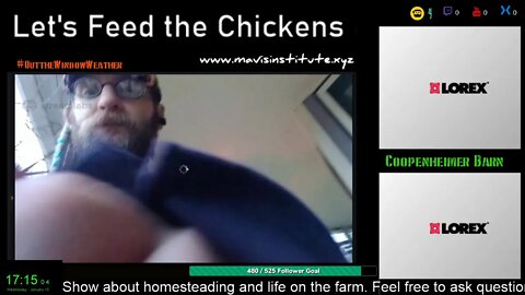 Let's Feed the Chickens : Ep29 : The Future of Streaming and BTT Tokens