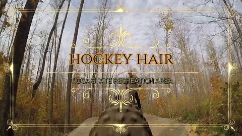 Hockey Hair Trail, Tioga State Recreation Area MN.