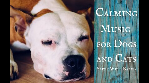 Calming Music for Dogs | When they have to be Left Alone | Block Out the World