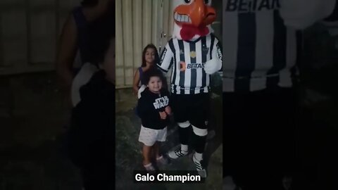 Galo Champion 🐓