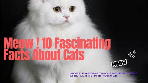 Meow ! 10 Fascinating Facts about Cats #Cats #Pets #Lovelypets