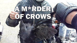 A Murder Of Crows