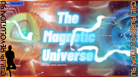 the Magnetic Universe
