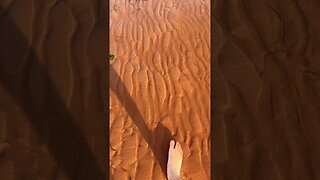 This is the Perfect Part of the Sand to Walk on at the Beach