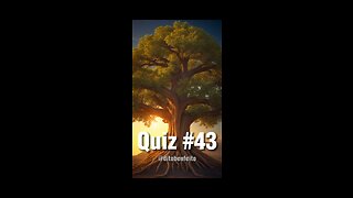 Quiz 43