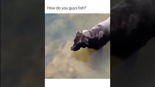 how do guys fish ???🐕🐕🐕😁🐡🐠🐟