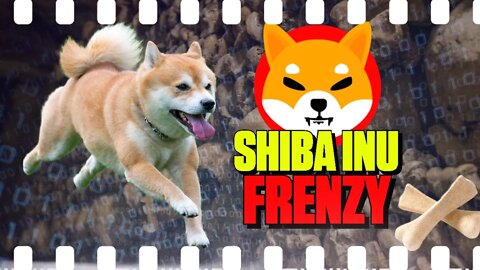 Shiba Inu Frenzy Over BONE - 142