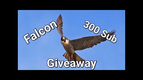 300 Sub Falcon GAW