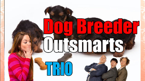 news of the bizarre Dog 🐶Breeder outsmarts Trio of Thugs