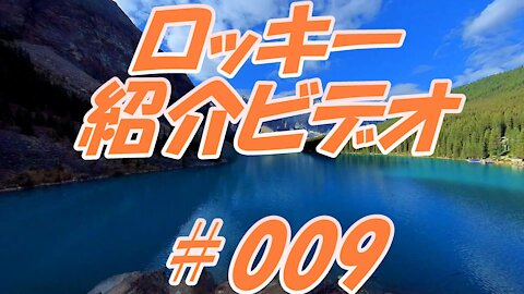 ロッキー紹介ビデオ ＃009