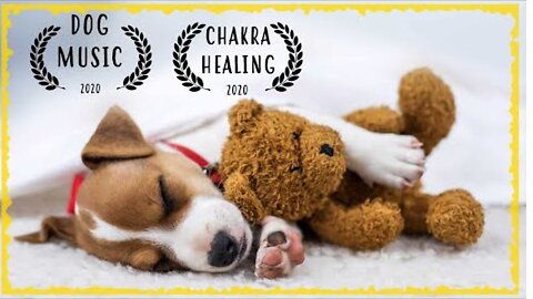 Calming Music For Dogs ~ Soothing Music for Dogs to relax ~ Dog Music to Sleep