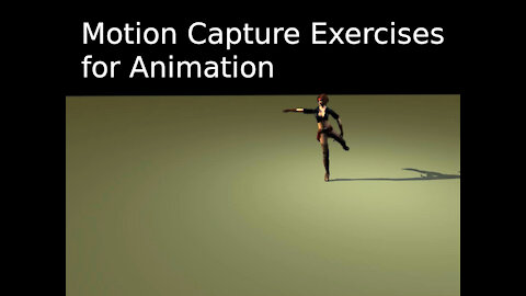 Animation - Motion Capture Exercises