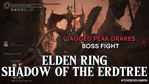 JAGGED PEAK DRAKES #eldenring #shadowoftheerdtree #BOSSFIGHT