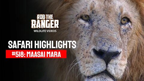 Safari Highlights #518: 09 & 10 March 2019 | Maasai Mara/Zebra Plains | Latest Wildlife Sightings