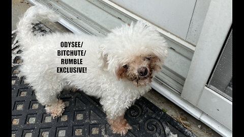 Rumble/Odysee/Bitchute Exclusive Hot Take: Feb 15th 2024 News Blast!