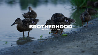 Brotherhood