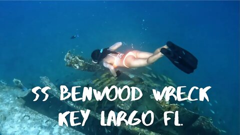 Snorkeling The SS Benwood Shipwreck in 2022 | Key Largo, Florida
