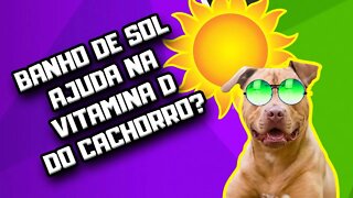 Cachorro faz vitamina D com banho de sol? | Dr. Edgard Gomes | Alimentação natural para Cães