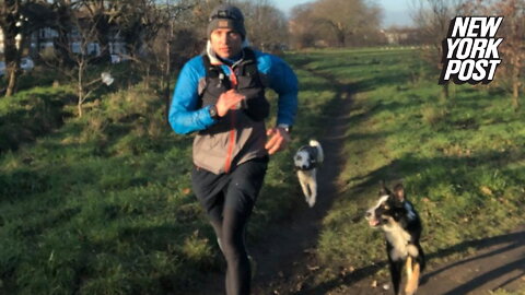 Barking mad: Man runs marathon every morning with his border collies